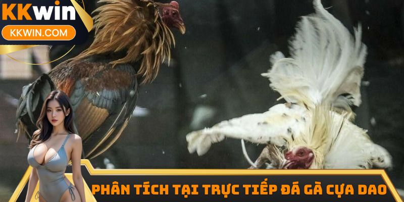 Phân tích tại trực tiếp đá gà cựa dao